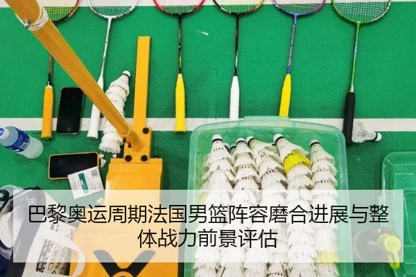 巴黎奥运周期法国男篮阵容磨合进展与整体战力前景评估