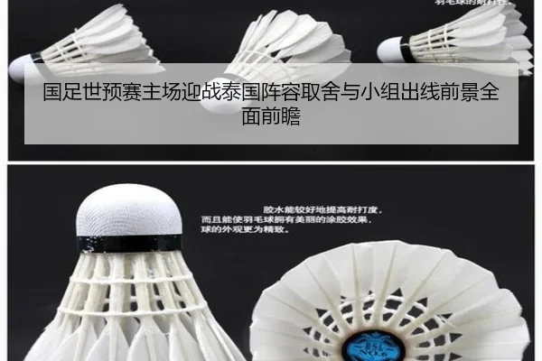 国足世预赛主场迎战泰国阵容取舍与小组出线前景全面前瞻