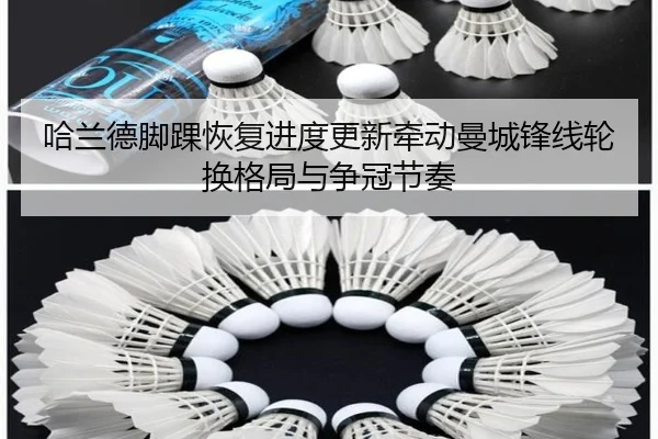 ha-lan-de-jiao-huai-hui-fu-jin-du-geng-xin-qian-dong-man-cheng-feng-xian-lun-huan-ge-ju-yu-zheng-guan-jie-zou-2-424.jpg